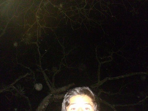 CrystianGarcia's profile picture. 