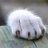 No_Possibility's profile image