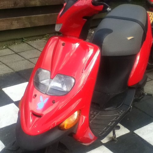 robinennoa's profile picture. 