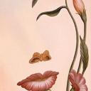 Faith Dick Tom - @Faidickcham - Twitter