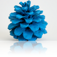 Aoi Matsushima (@bluepinesaoi) 's Twitter Profile