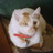 ponchikann's profile image