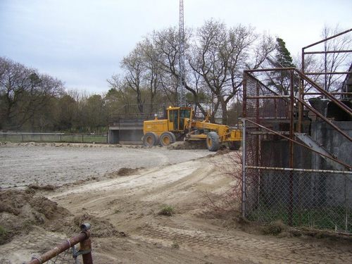 RostockBallPark's profile picture. If you build it, they will come