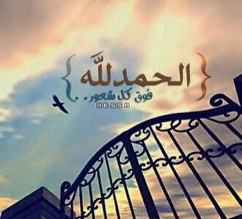 hashroof1's profile picture. 