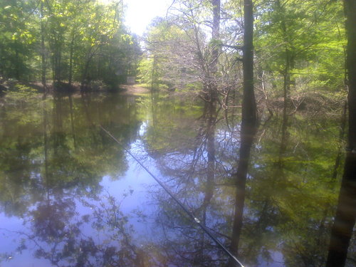 mchamlee's profile picture. 