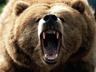 bruno2morrow's profile picture. We are Brunonians for a Better Tomorrow, Tomorrow, a group secretly manipulating Brown's UCS elections with independent spending. Go SuperPACs!