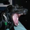 scott comstock - @scottkom - Twitter