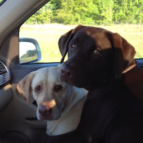 jmyers43's profile picture. 