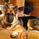 annie cooke - @tnacooke1 - Twitter