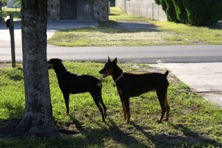 fosterkidz's profile picture. 