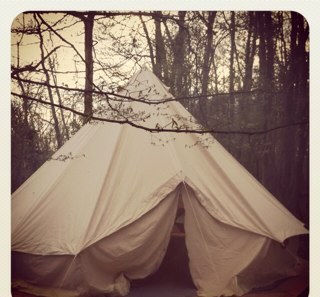 ForesterNige's profile picture. 