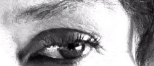 shirliekent's profile picture. Legal Asst. Medical Asst. BA Sociology, poet, painter and photographer in spare time! #Resist #wherearethechildren