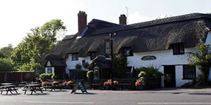 TheCastleInn's profile picture. CAMRA National Cider Pub of the Year 2014! We offer over 50 ciders, & local real ales! Dog friendly/obsessed pub! Family-run 16th Century pub/B&B in Lulworth!