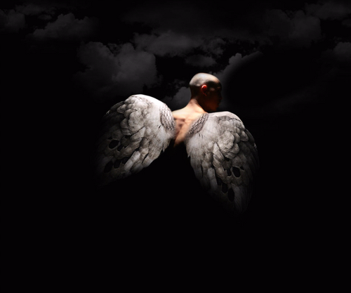 benton_scott's profile picture. 