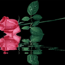 بجاد العنزي (@0561603439) Twitter