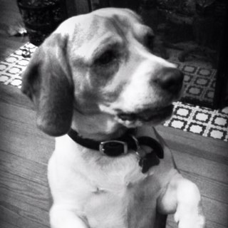 lampwick2_11's profile picture. 