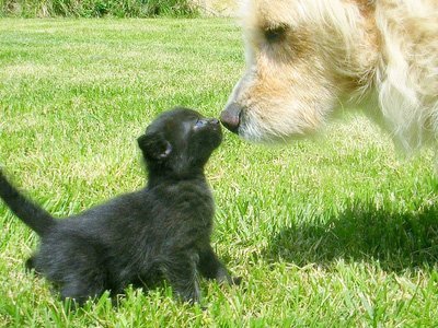 henny61321661's profile picture. 