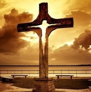 alabauce's profile picture. 