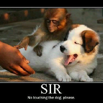 JonnyR2209's profile picture. 