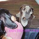 Dale Beard - @dieseldocw4 - Twitter