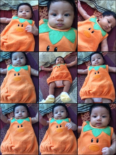 Rhamichella's profile picture. 