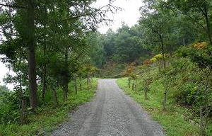 cufe327's profile picture. 배움을 마음껏  펼칠 기회를 찾는 자..