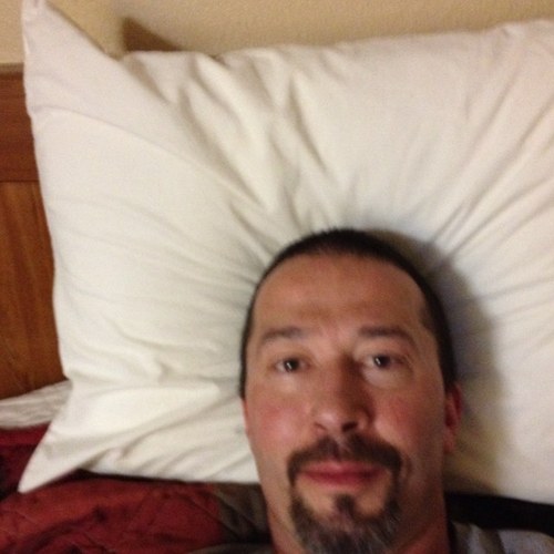 donjwarner's profile picture. 