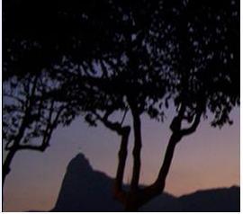 Twitter do Blog Santa Bárbara e Rebouças, sobre Política e Segurança Pública no Rio de Janeiro