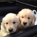 Beau Grenier - @bcgrenier - Twitter