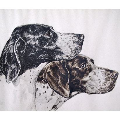 DISPLAYDOCUMENT's profile picture. Document crosses the borders of a temporary art space and a dance-floor, it is a heterotopia.