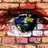 altermundo's profile image