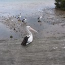 David Wardell - @DavidWardell2 - Twitter