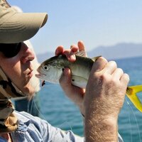 БезOS (@veresok) 's Twitter Profile