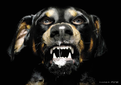 DaRubian's profile picture. Finance Controller