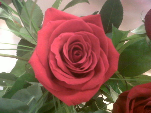 Sam_C_9876's profile picture. 