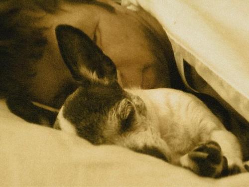 tryonagitator's profile picture. Conservative agitator. Attica survivor. Ex semi-pro football player. Fomenting for Freedom since 1772