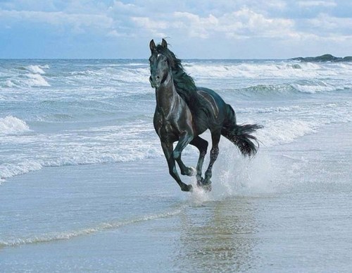 Aldamass's profile picture. 