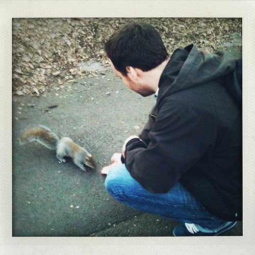 motion designer & animator