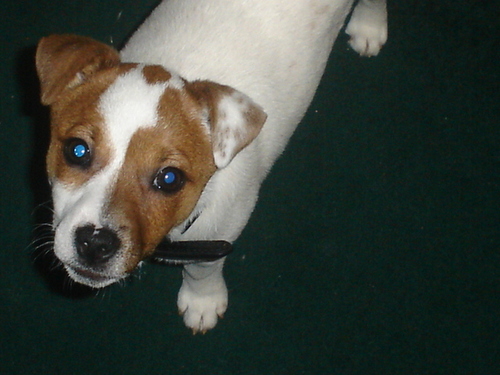 tilerman23's profile picture. 