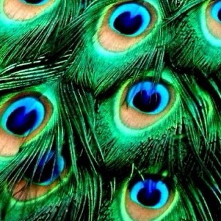 8intrepido's profile picture. 