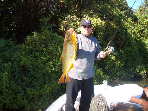 Thomaz Beltrão Profile