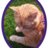 Elli_puddy's profile image