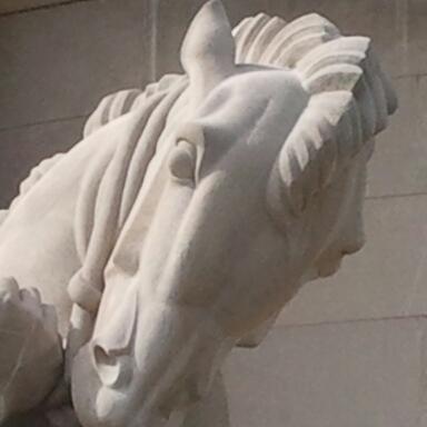 lchailley's profile picture. 