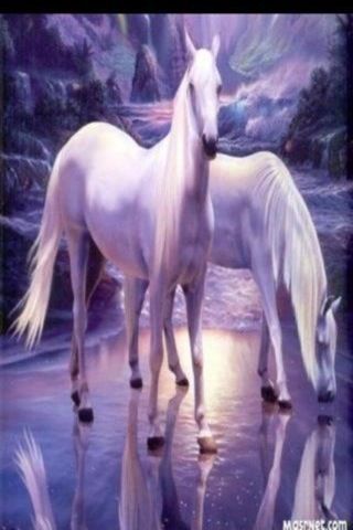 myara111's profile picture. 