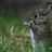 tanya8208's profile image