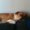 Dean Morrow - @deaner1919 - Twitter