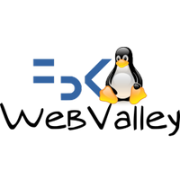 WebValley (@webvalley) 's Twitter Profile