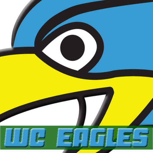 WCEaglesFH's profile picture. WC Eagles is a USAFH affiliated club. We provide world-class training through hand-selected coaches for players to grow in the sport year round.