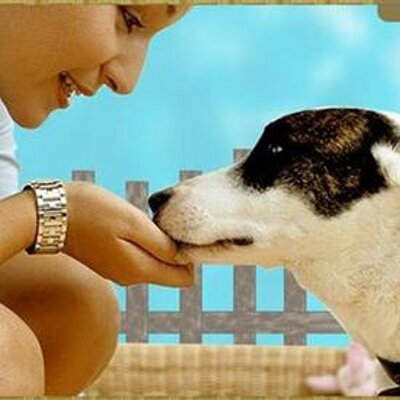 DogWorldPR (@DogWorldPR) / Posts / X