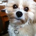 Ricky (@eugenericky) Twitter profile photo